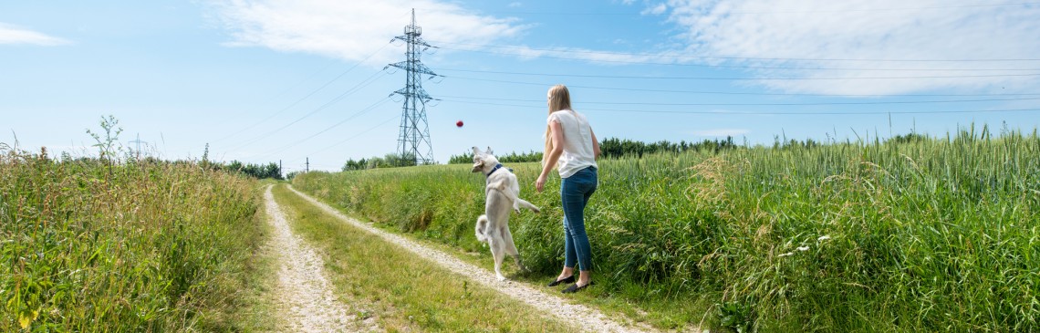 Eine junge Frau wirft auf einem Feldweg ihrem Hund spielerisch einen Ball, im Hintergrund ist eine Stromleitung sehen.