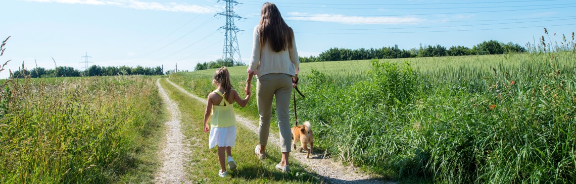Eine Mutter spaziert mit ihrer kleinen Tochter und einem Hund über einen Feldweg, im Hintergrund eine Stromleitung.
