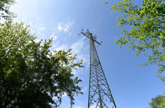 Strommast von seitlich unten, von Bäumen eingerahmt.